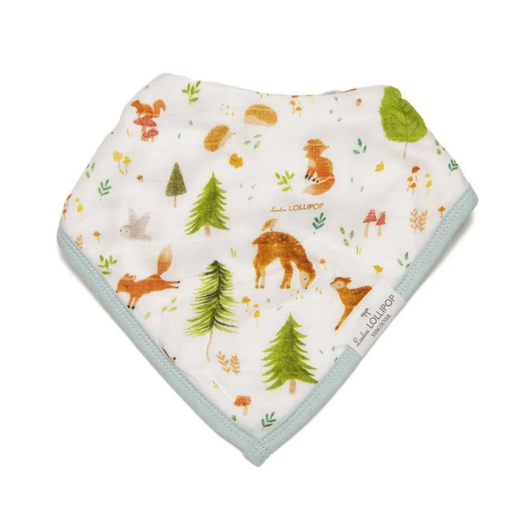 Bandana Bib Set