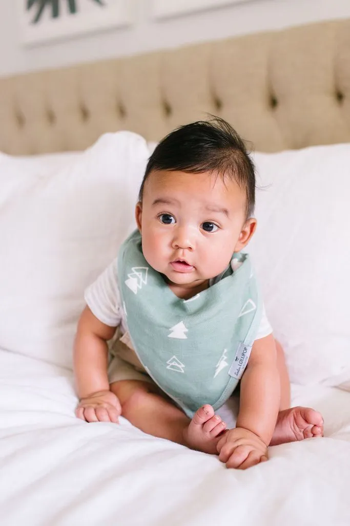 Bandana Bib Set