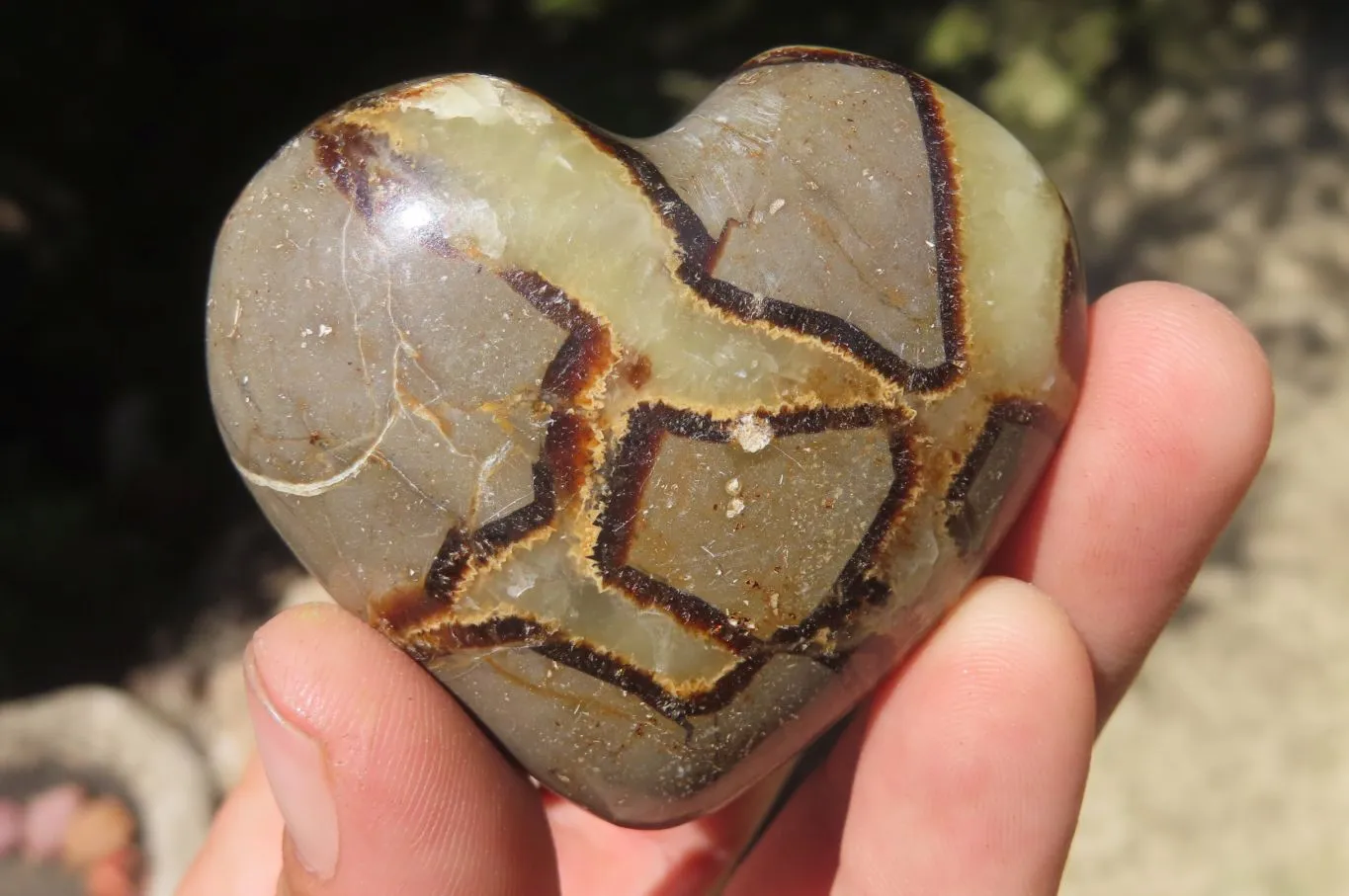 Polished Septerye Gemstone Hearts x 10 From Madagascar