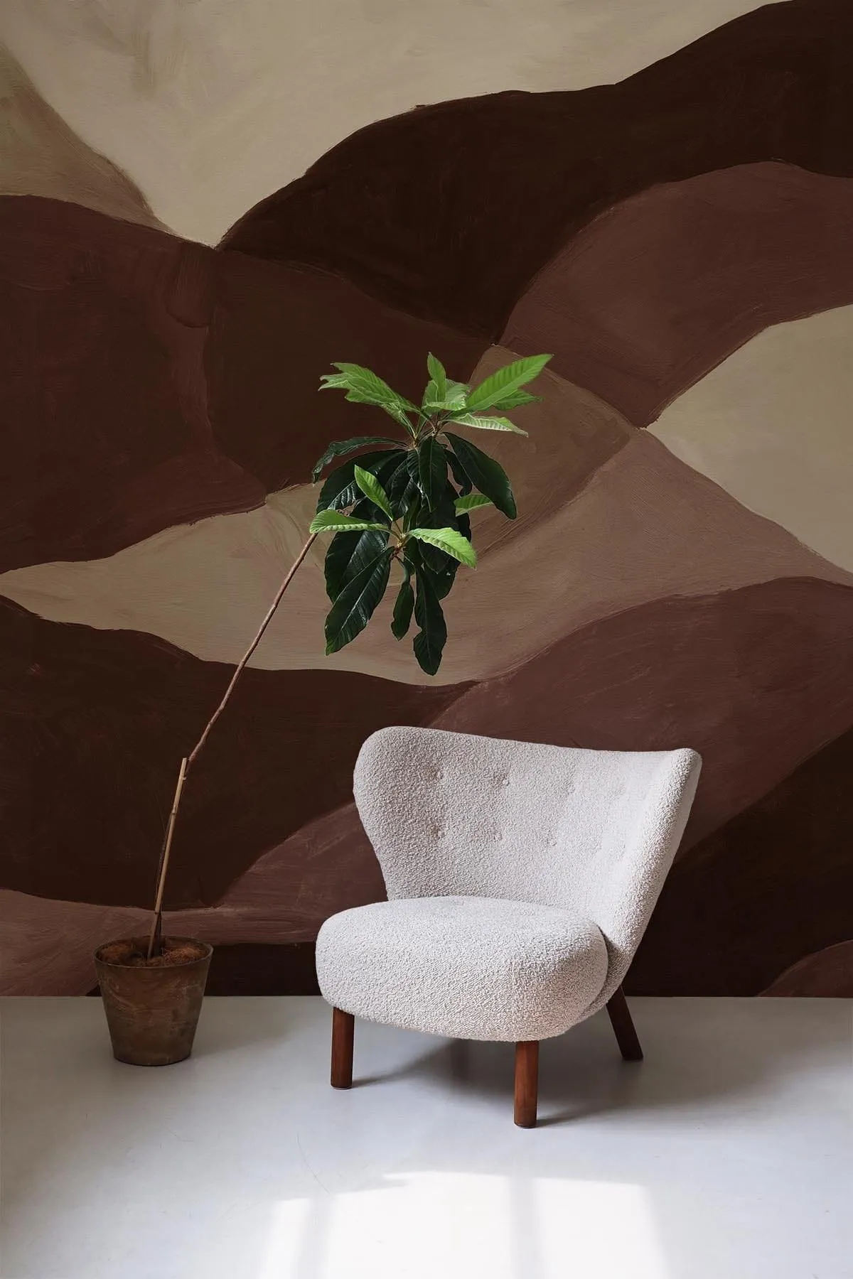 Soft Hills Brown